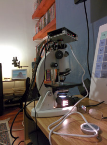 picroscopy mikroskop